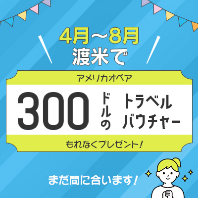 アメリカキャンペーン